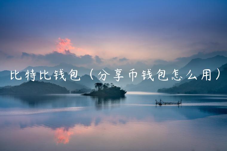 比特比钱包（分享币钱包怎么用）-第1张图片-binance下载