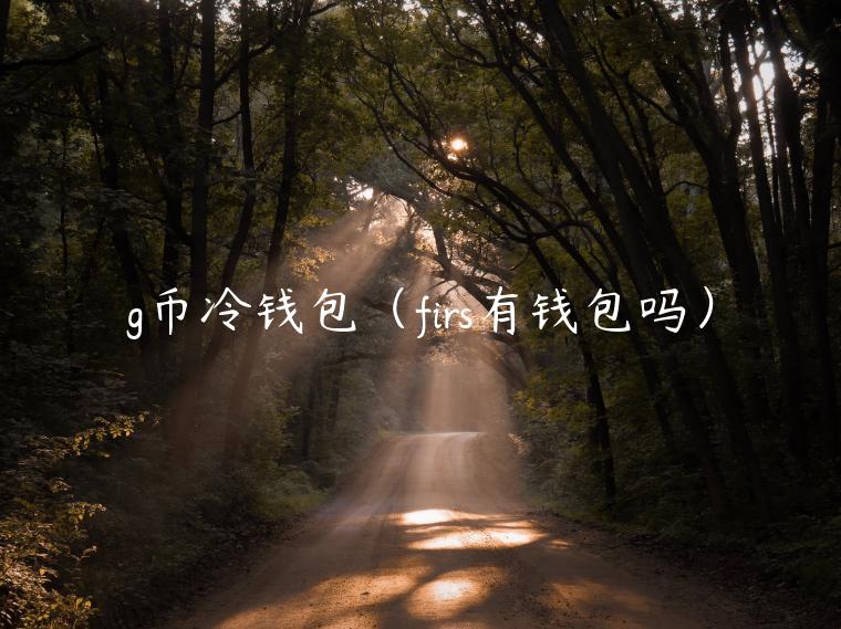 g币冷钱包（firs有钱包吗）-第1张图片-binance下载