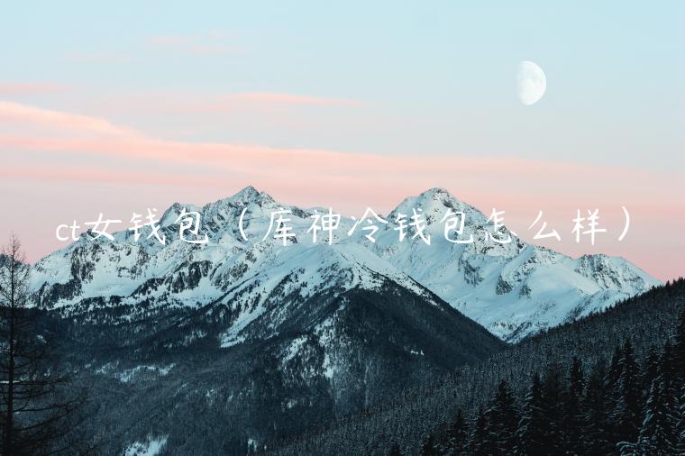 ct女钱包（库神冷钱包怎么样）-第1张图片-binance下载
