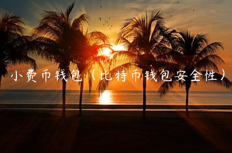 小费币钱包（比特币钱包安全性）-第1张图片-binance下载