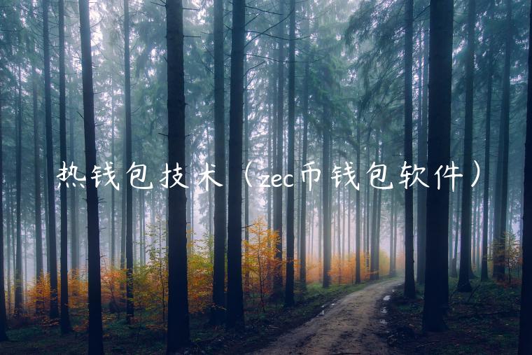热钱包技术（zc币钱包软件）-第1张图片-binance下载