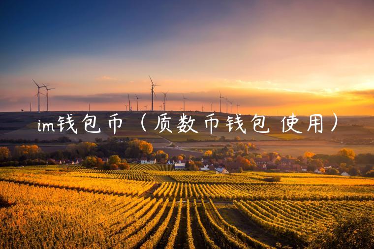im钱包币（质数币钱包 使用）-第1张图片-binance下载