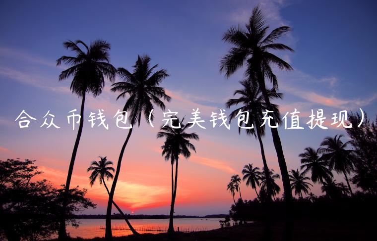 合众币钱包（完美钱包充值提现）-第1张图片-binance下载