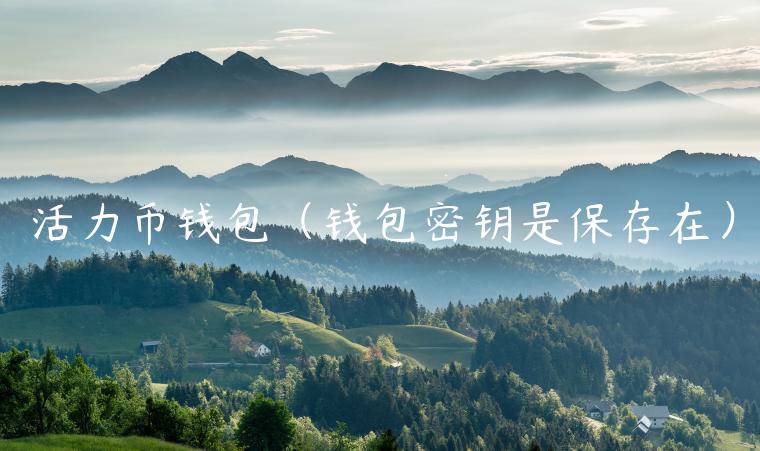 活力币钱包（钱包密钥是保存在）-第1张图片-binance下载