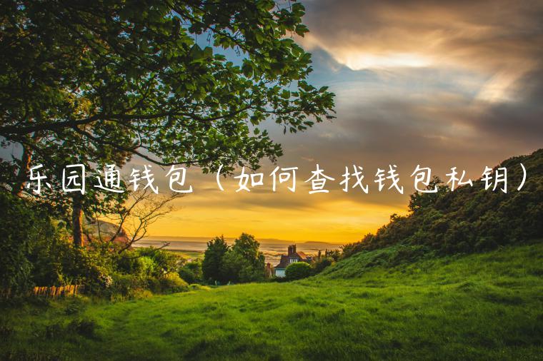 乐园通钱包（如何查找钱包私钥）-第1张图片-binance下载