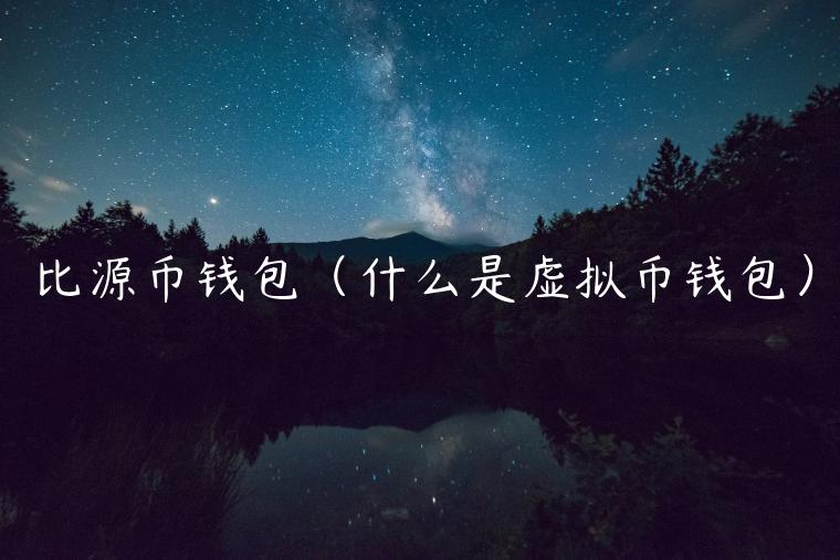 比源币钱包（什么是虚拟币钱包）-第1张图片-binance下载