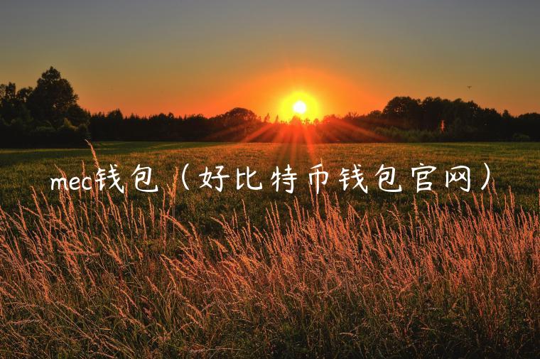 mc钱包（好比特币钱包官网）-第1张图片-binance下载