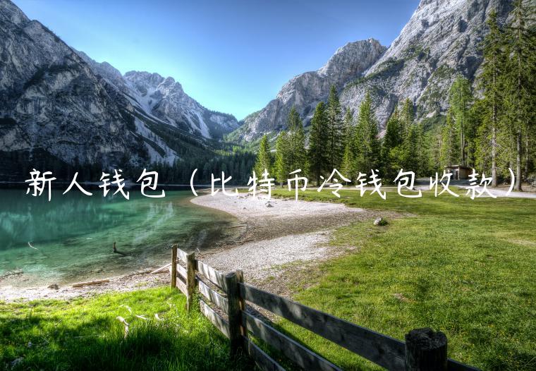新人钱包（比特币冷钱包收款）-第1张图片-binance下载