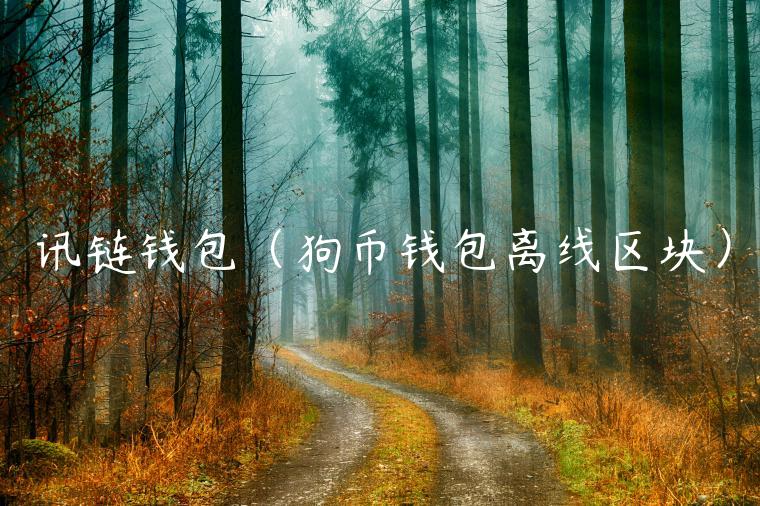 讯链钱包（狗币钱包离线区块）-第1张图片-binance下载