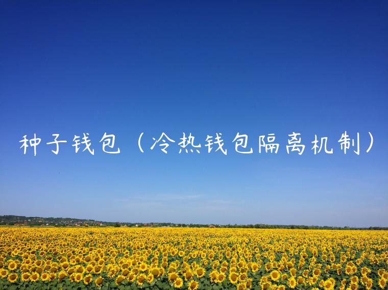 种子钱包（冷热钱包隔离机制）-第1张图片-binance下载