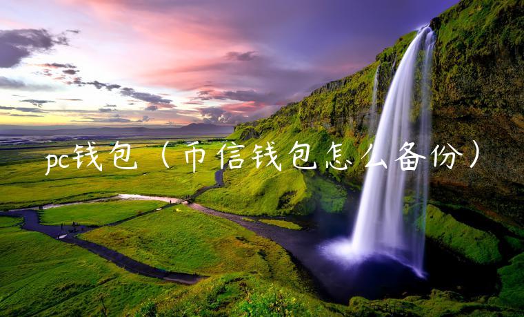 pc钱包（币信钱包怎么备份）-第1张图片-binance下载