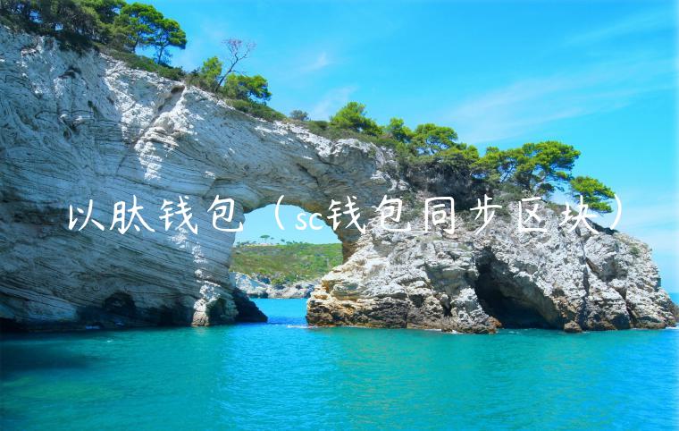 以肽钱包（sc钱包同步区块）-第1张图片-binance下载