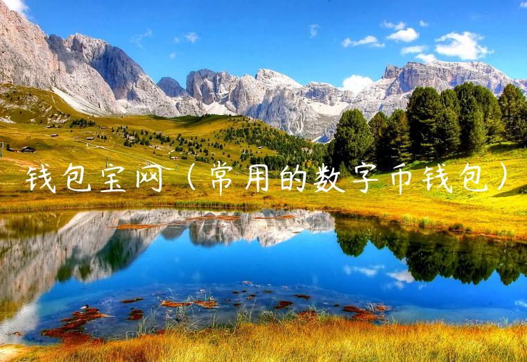 钱包宝网（常用的数字币钱包）-第1张图片-binance下载