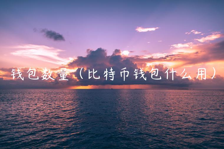 钱包数量（比特币钱包什么用）-第1张图片-binance下载