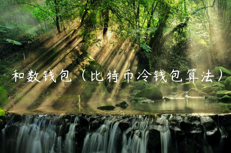 和数钱包（比特币冷钱包算法）-第1张图片-binance下载