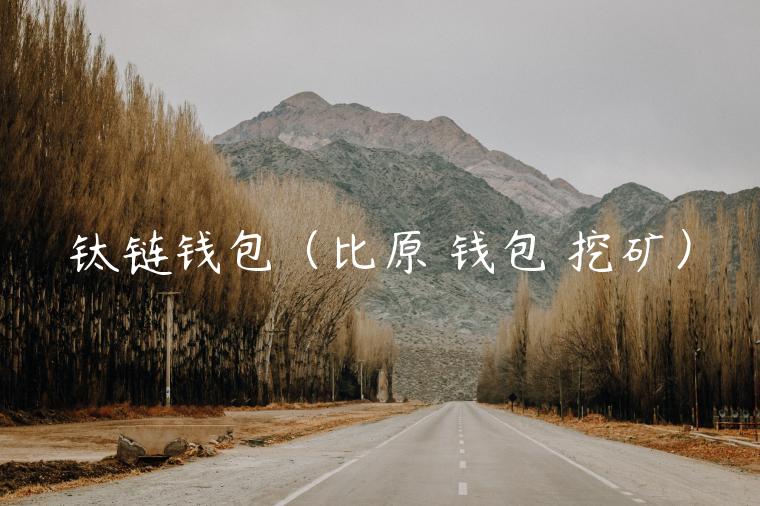 钛链钱包（比原 钱包 挖矿）-第1张图片-binance下载