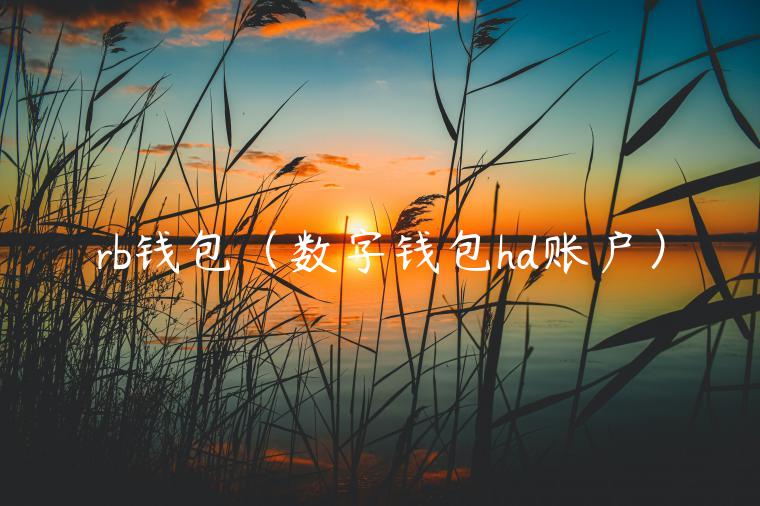rb钱包（数字钱包hd账户）-第1张图片-binance下载