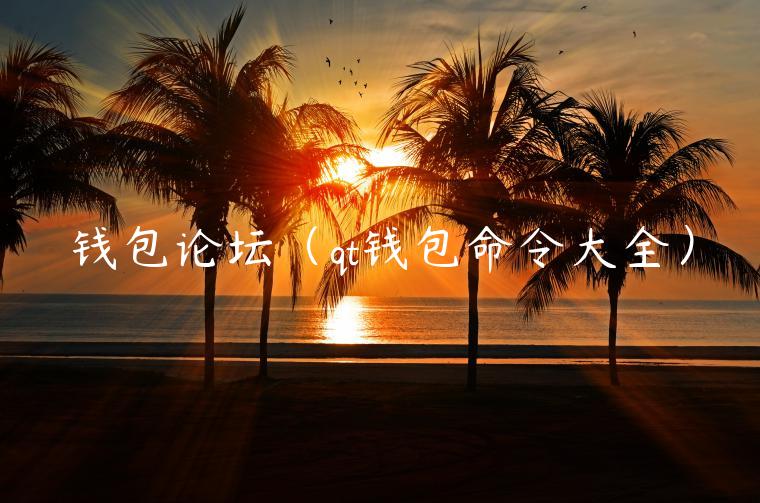 钱包论坛（qt钱包命令大全）-第1张图片-binance下载