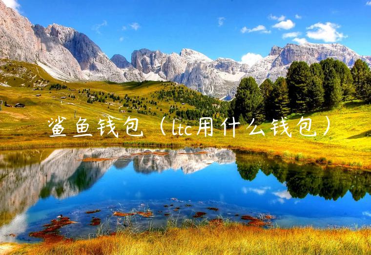 鲨鱼钱包（ltc用什么钱包）-第1张图片-binance下载