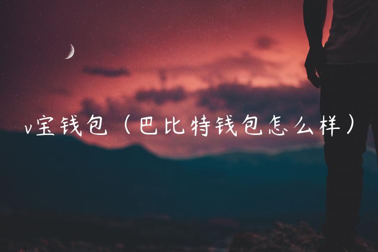 v宝钱包（巴比特钱包怎么样）-第1张图片-binance下载