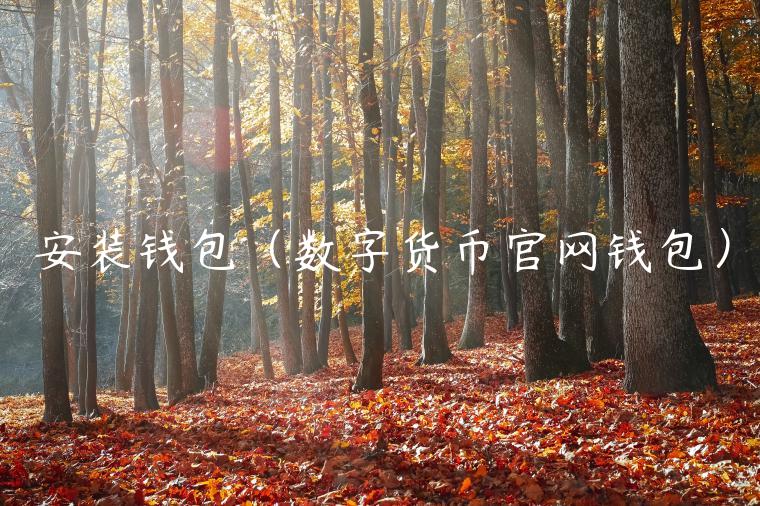 安装钱包（数字货币官网钱包）-第1张图片-binance下载