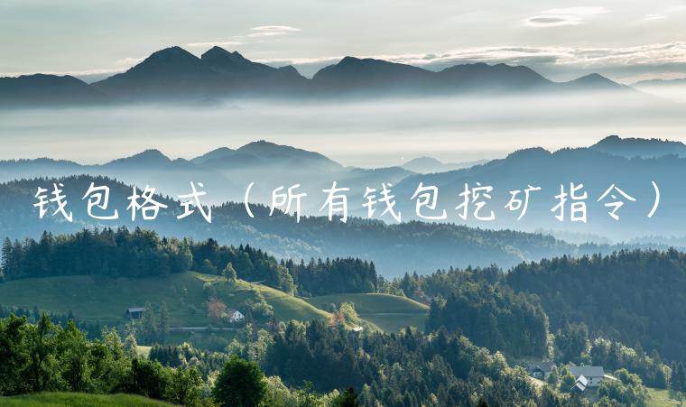 钱包格式（所有钱包挖矿指令）-第1张图片-binance下载