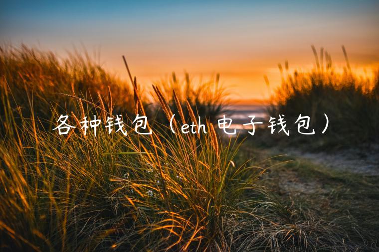 各种钱包（th 电子钱包）-第1张图片-binance下载