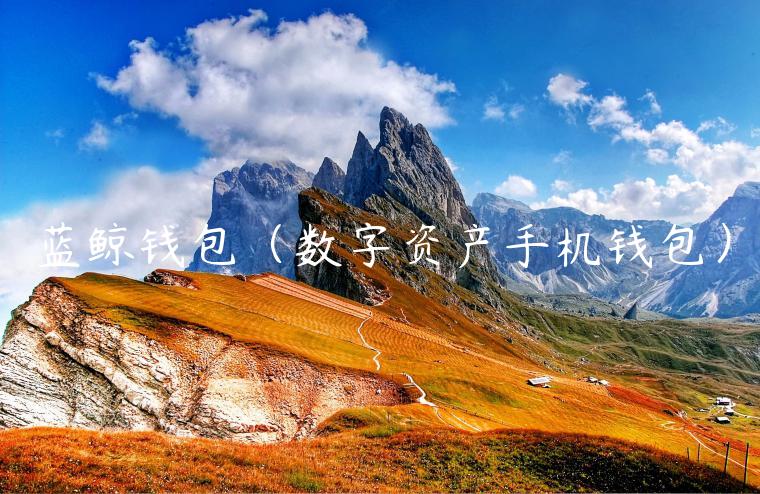 蓝鲸钱包（数字资产手机钱包）-第1张图片-binance下载