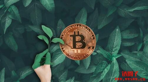 狗币钱包（rvn钱包手续费）-第3张图片-binance下载