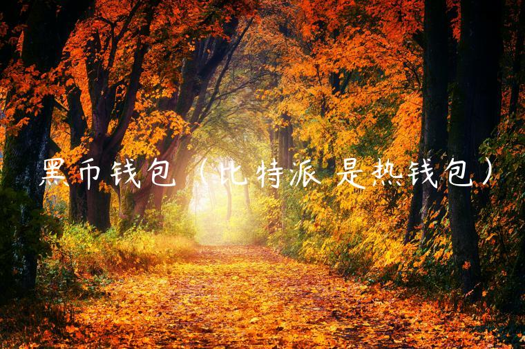 黑币钱包（比特派 是热钱包）-第1张图片-binance下载