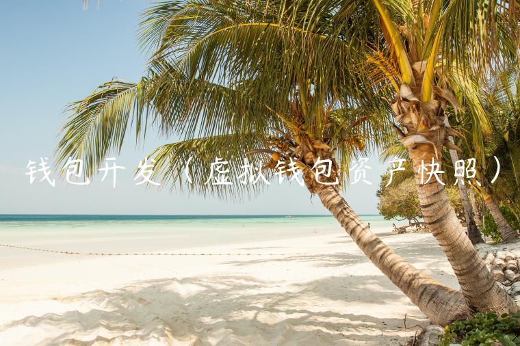 钱包开发（虚拟钱包资产快照）-第1张图片-binance下载