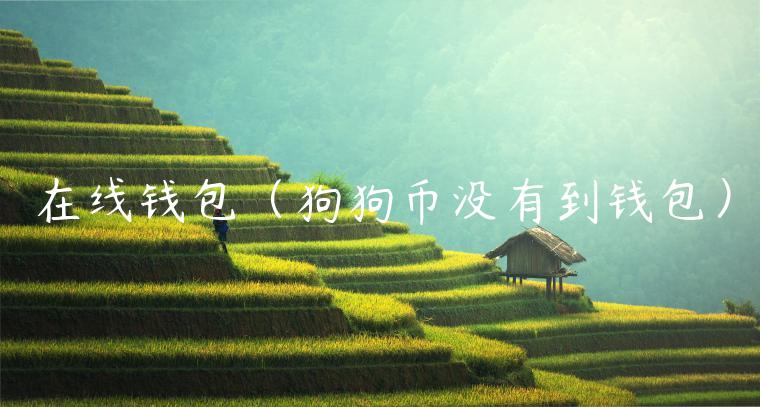 在线钱包（狗狗币没有到钱包）-第1张图片-binance下载