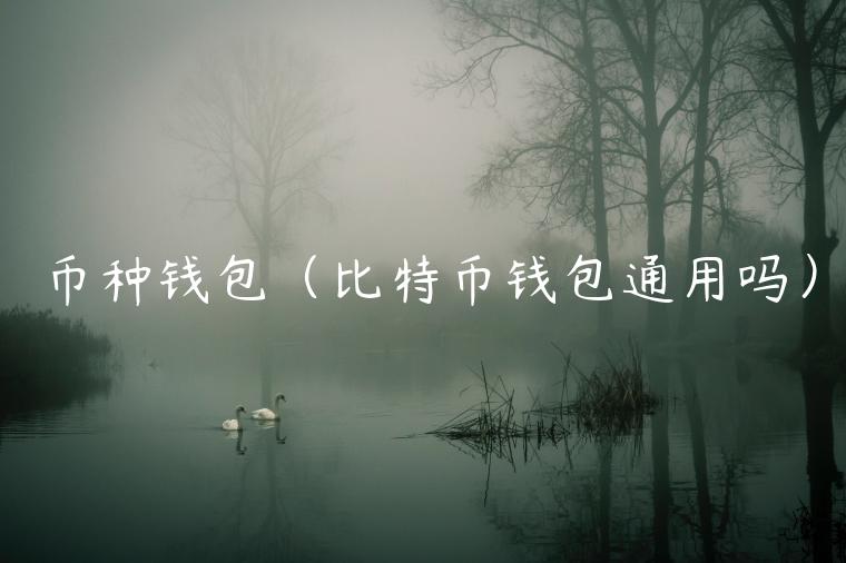 币种钱包（比特币钱包通用吗）-第1张图片-binance下载