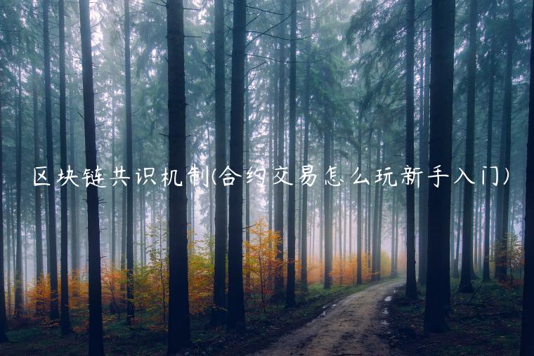 区块链共识机制 - 合约交易怎么玩新手入门-第1张图片-binance下载