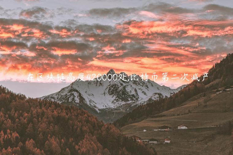 在区块链高度420000处,比特币第二次减产-第1张图片-binance下载