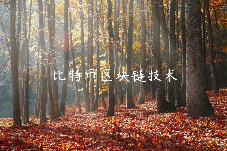 比特币区块链技术-第1张图片-binance下载