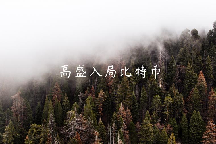 高盛入局比特币-第1张图片-binance下载