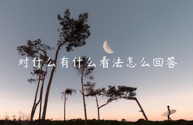 对什么有什么看法怎么回答-第1张图片-binance下载