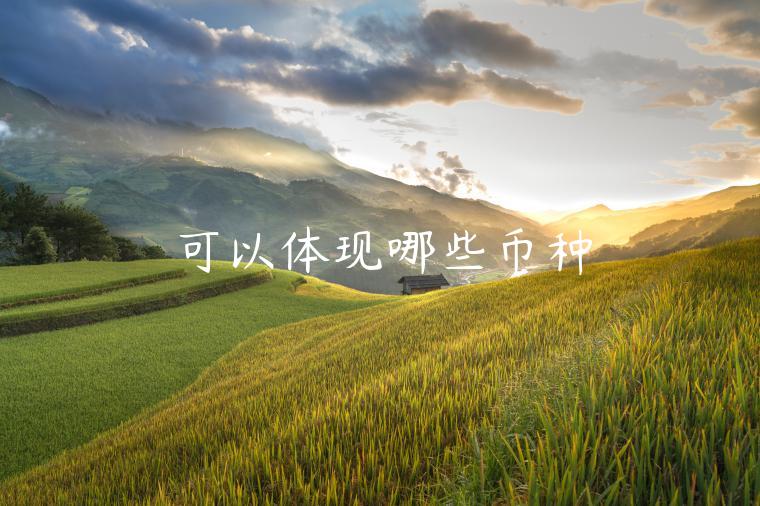 可以体现哪些币种-第1张图片-binance下载