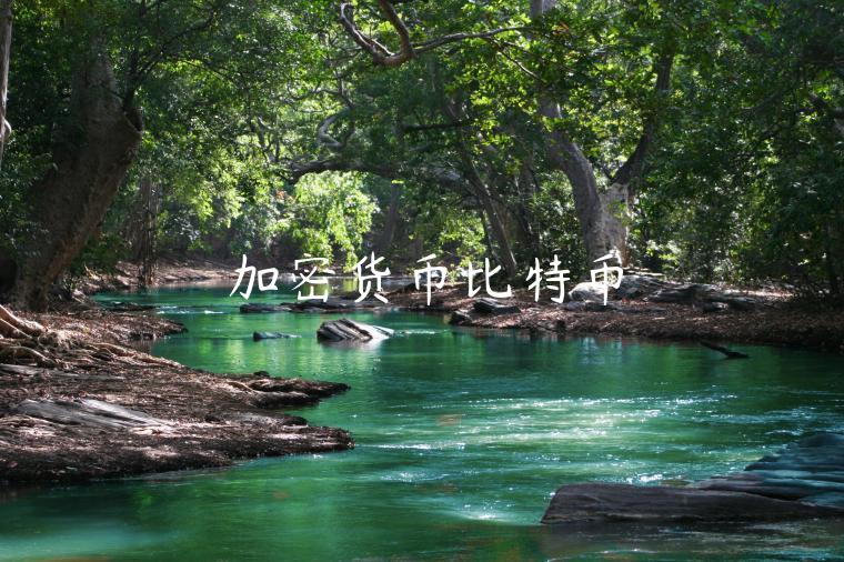加密货币比特币-第1张图片-binance下载