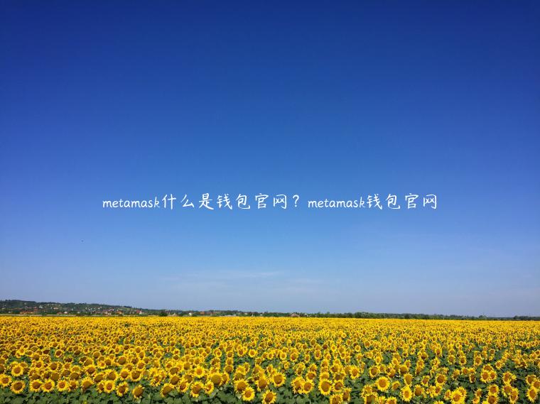 mtamask什么是钱包官网？mtamask钱包官网-第1张图片-binance下载