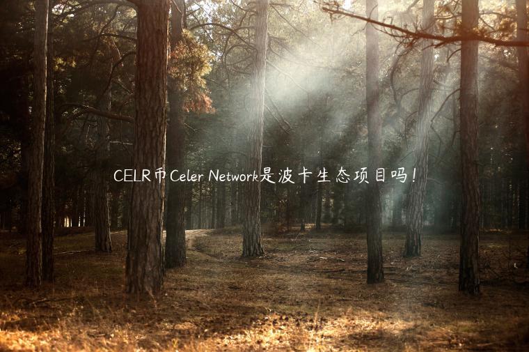 CLR币Clr Ntwork是波卡生态项目吗！-第1张图片-binance下载