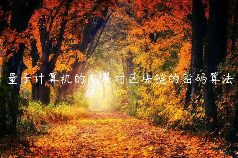 量子计算机的发展对区块链的密码算法-第1张图片-binance下载