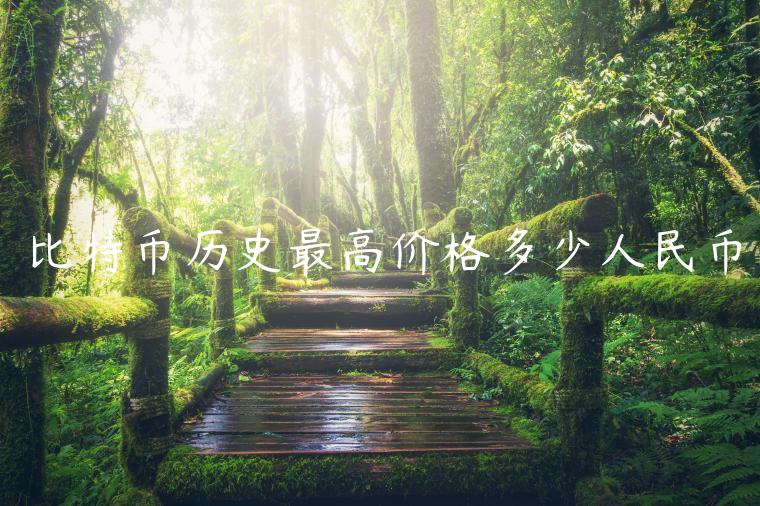 比特币历史最高价格多少人民币-第1张图片-binance下载