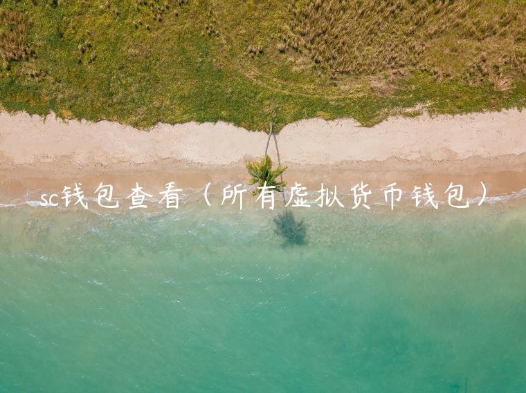 sc钱包查看（所有虚拟货币钱包）-第1张图片-binance下载