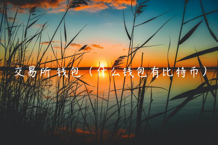 交易所 钱包（什么钱包有比特币）-第1张图片-binance下载