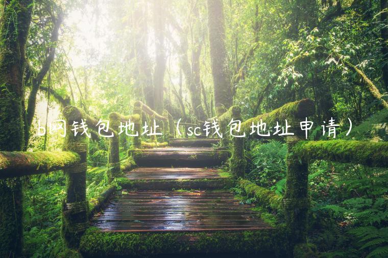 b网钱包地址（sc钱包地址申请）-第1张图片-binance下载