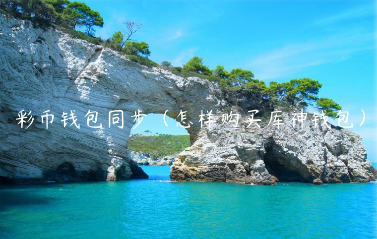 彩币钱包同步（怎样购买库神钱包）-第1张图片-binance下载