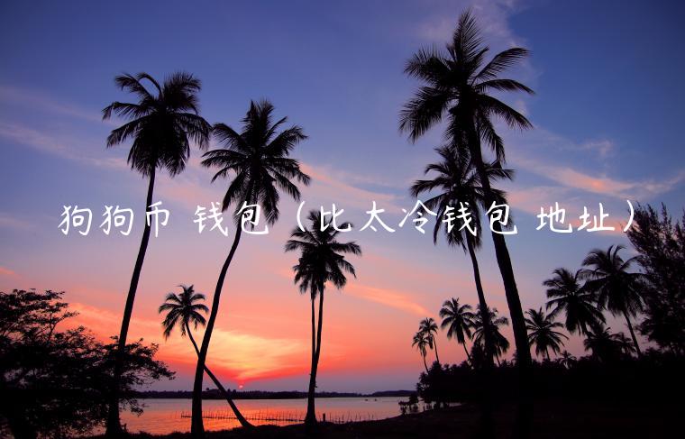 狗狗币 钱包（比太冷钱包 地址）-第1张图片-binance下载