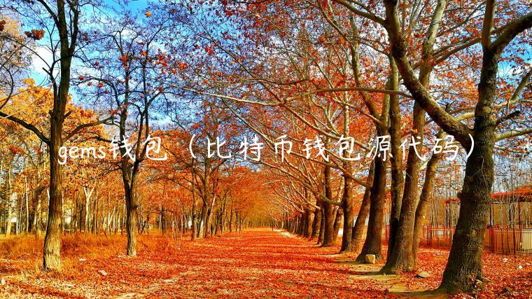 gms钱包（比特币钱包源代码）-第1张图片-binance下载